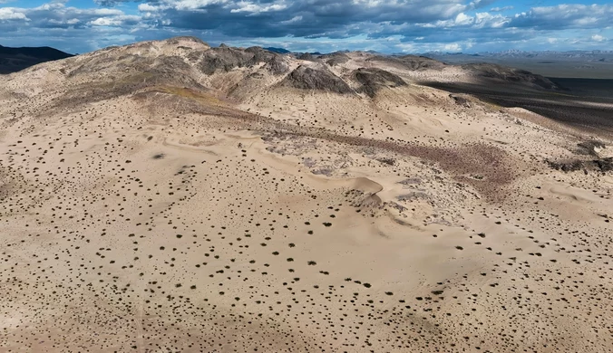 "The Washington Post": Dolina Śmierci odżyła. Niespotykane zjawisko na słynnej pustyni 