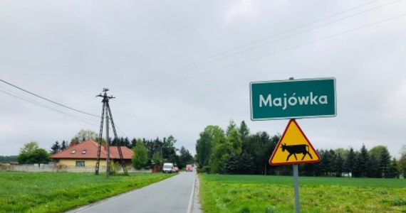 Jest takie miejsce w Polsce, gdzie mieszkańcy nie muszą wyjeżdżać na majówkę, bo... mieszkają w Majówce. Mowa o wsi Majówka pod Pabianicami w Łódzkiem. Na dwa tygodnie przed majówką zaglądamy do tej sielskiej wsi.