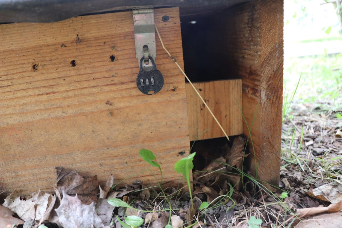 W Krakowie żyje kilka tysięcy jeży - a ostatnio, szczególnie wieczorami, pokazują się w różnych częściach miasta. W stolicy Małopolski zwierzęta mają nawet swoje osiedle. Na terenie Uniwersytetu Ekonomicznego zbudowano specjalne drewniane domki dla kolczastych lokatorów.