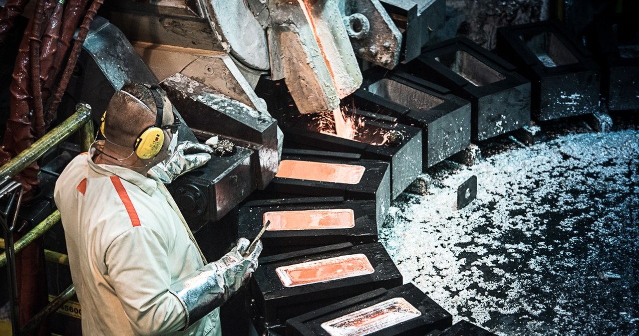 Mają miedź, srebro i złoto. Są liderem hossy na giełdzie