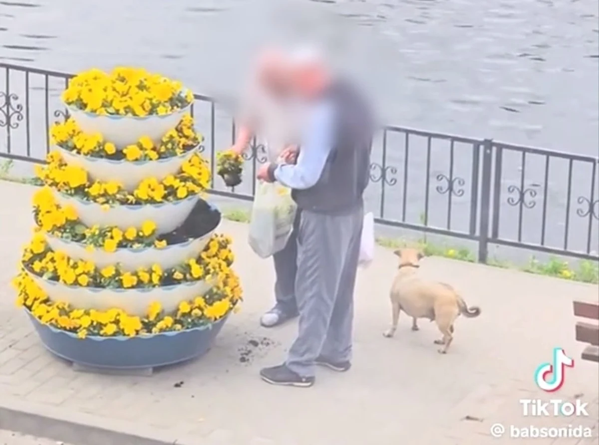 Dwóch mężczyzn postanowiło w środku dnia ukraść sadzonki bratków, które znajdowały się w ozdobnej donicy w centrum Wyrzyska (woj. Wielkopolskie). Ich czyn został zarejestrowany na filmie, który zdobył popularność w social mediach. Policjanci , zaledwie po kilku godzinach od zgłoszenia, ustalili torżsamość złodziei.  Teraz poniosą odpowiedzialność przed sądem.