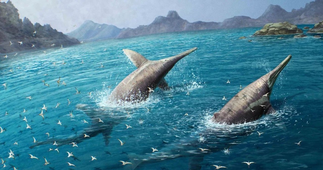 Starożytni pasjonaci paleontologii. Rzymianie zbierali szczątki ichtiozaura