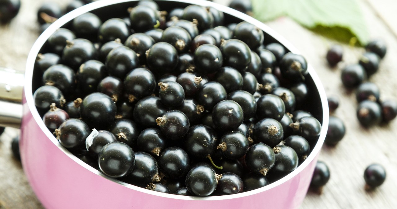 Cierpki, intensywny, pełen antyoksydantów. Polski owoc ma być hitem 2026