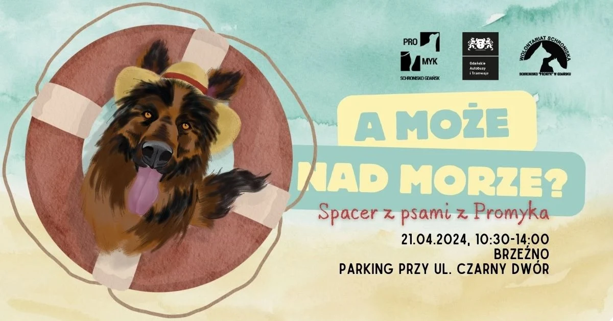 ​"A może nad morze?" - to zaproszenie od gdańskiego schroniska "Promyk" na spotkanie z psami na plaży. To okazja dla zwierząt, które na co dzień są w klatkach na poznanie nowych dźwięków, widoków, zapachów....a także zachęta do ich adopcji.
