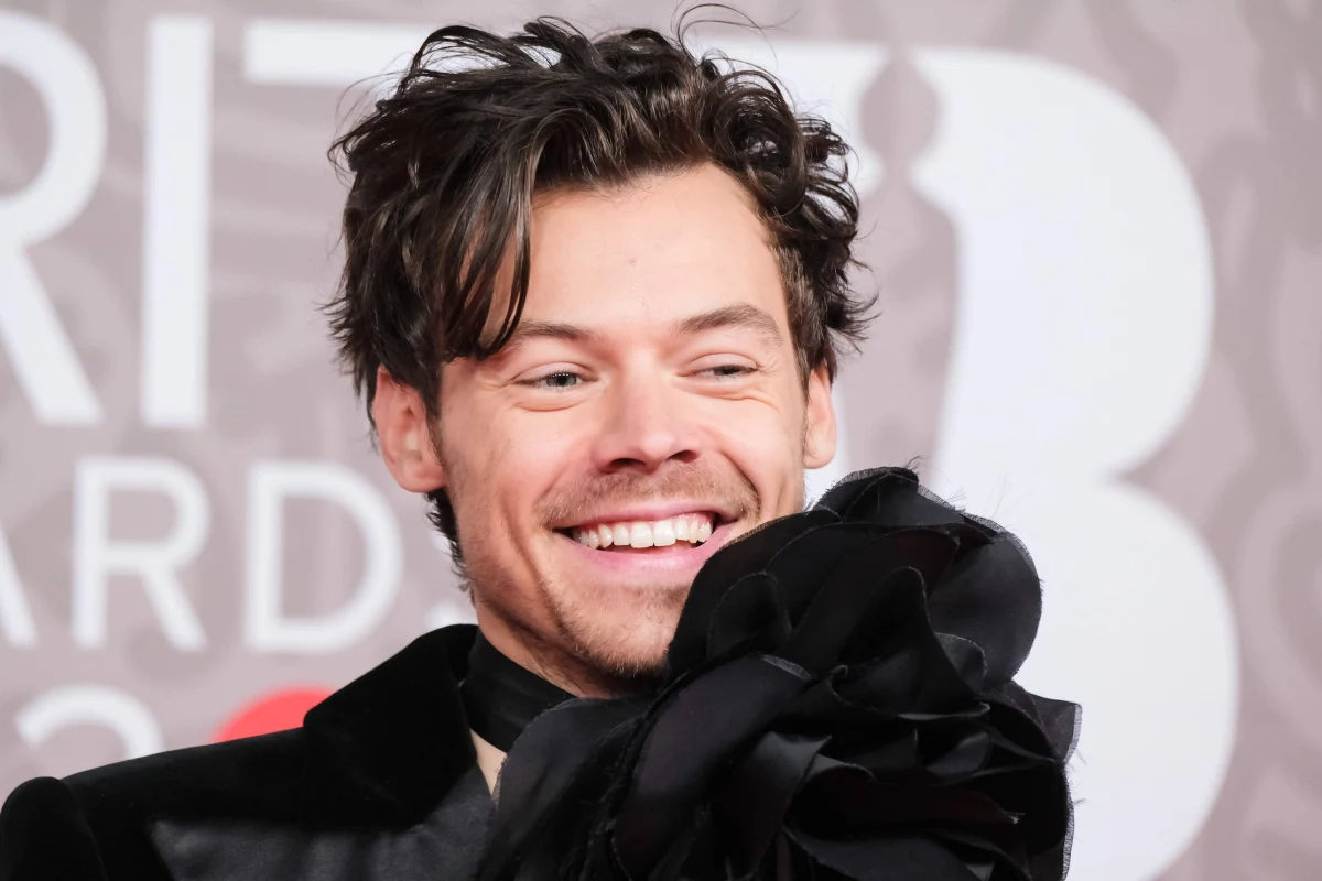 Pewna kobieta wysłała Harry’emu Stylesowi w przeciągu miesiąca aż 8 tysięcy pocztówek. Chyba mu się to nie spodobało, bo ją pozwał. Londyński sąd skazał ją na 14 tygodni więzienia. Ma też zakaz przychodzenia na koncerty piosenkarza.