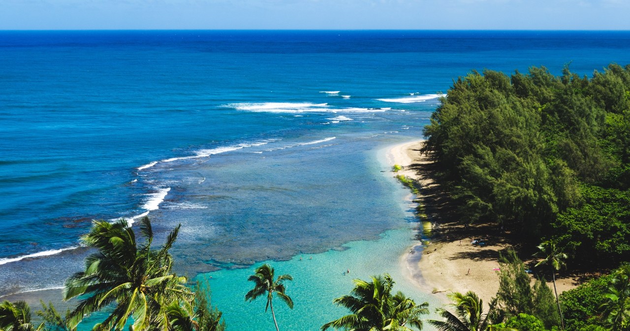 Pasożytnicza choroba mózgu atakuje Hawaje. Nie jedz tego na wakacjach