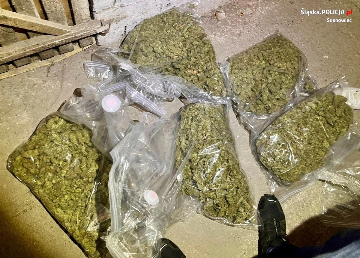 8,5 kg marihuany oraz blisko 300 g amfetaminy i blisko 500 g metamfetaminy przejęli policjanci z Sosnowca. Zatrzymali 31-latka i 45- latka, którzy usłyszeli zarzuty posiadania znacznej ilości narkotyków i po decyzji  sądu zostali tymczasowo aresztowani.