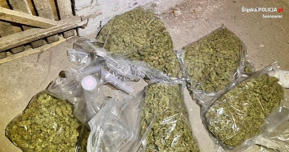 8,5 kg marihuany oraz blisko 300 g amfetaminy i blisko 500 g metamfetaminy przejęli policjanci z Sosnowca. Zatrzymali 31-latka i 45- latka, którzy usłyszeli zarzuty posiadania znacznej ilości narkotyków i po decyzji  sądu zostali tymczasowo aresztowani.