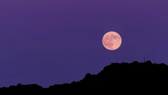 Różowy Księżyc w roju meteorów. Powtórka może za pięć lat
