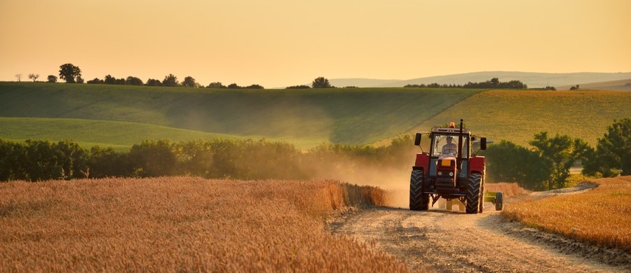 Zarzuty związane z nielegalnym przejęciem tysięcy hektarów państwowej ziemi usłyszał urzędujący minister rolnictwa Ukrainy Mykoła Solski. To efekt działań ukraińskiego Narodowego Biura Antykorupcyjnego. 
