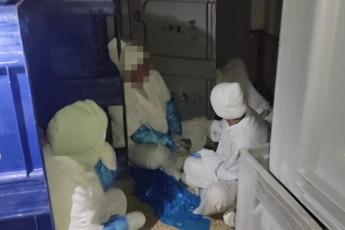 Pięcioro Kolumbijczyków oraz dwoje Nepalczyków ukrytych w pojemnikach na mięso odkryli zakopiańscy strażnicy graniczni podczas kontroli w jednym z przedsiębiorstw z powiatu chrzanowskiego.