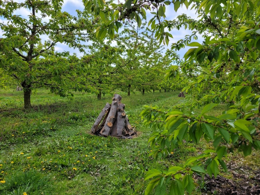 /Ryszard Czarnecki /RMF FM