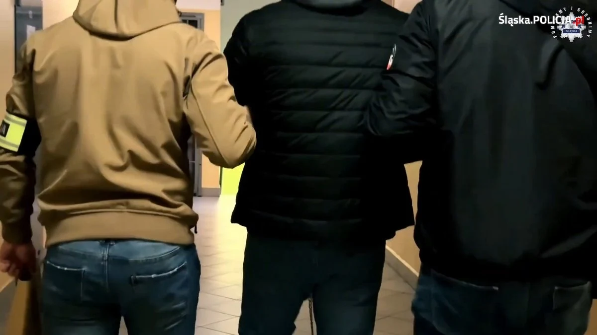 Papierosy i tytoń sprowadzane z Białorusi, Ukrainy i Rosji wprowadzali do obrotu bez akcyzy trzej mężczyźni i kobieta, zatrzymani przez śląskich policjantów. Na ich działalności Skarb Państwa stracił 7,3 miliona złotych. Podejrzani są związani ze środowiskiem pseudokibiców dwóch śląskich klubów piłkarskich.