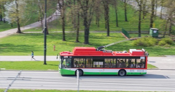 Nieco rzadziej mają kursować w przyszłym tygodniu trolejbusy i autobusy lubelskiej komunikacji miejskiej. Ułatwiony za to ma być dojazd do lasu Dąbrowa.