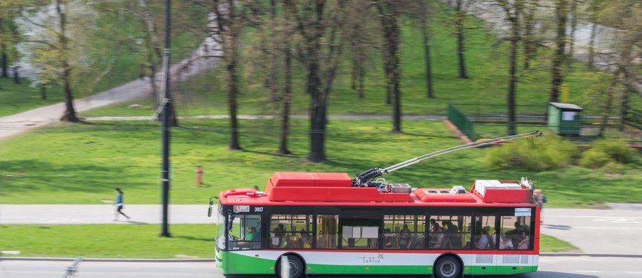 Nieco rzadziej mają kursować w przyszłym tygodniu trolejbusy i autobusy lubelskiej komunikacji miejskiej. Ułatwiony za to ma być dojazd do lasu Dąbrowa.