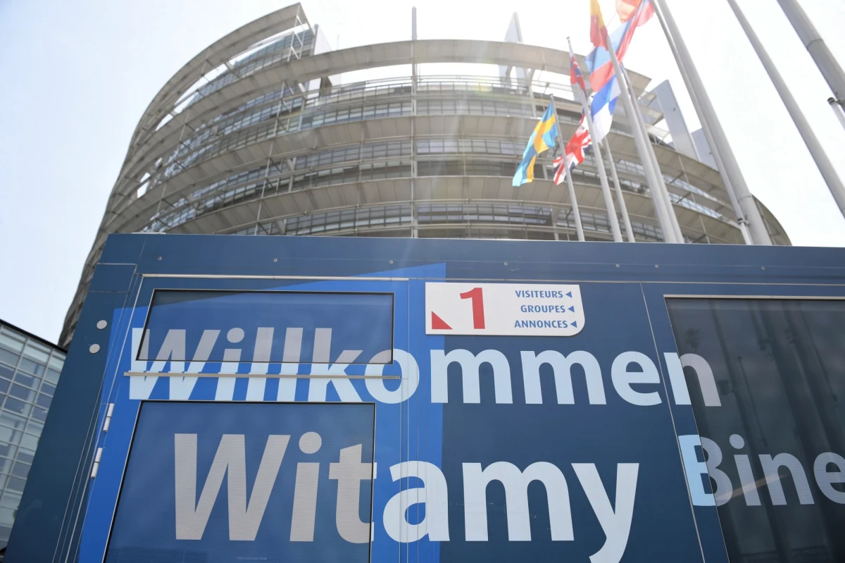 Mało co ujawnia tę specjalizację grupy polityków tak bardzo jak lista kandydatów w wyborach do Parlamentu Europejskiego. Wyraźnie można wśród nich wyróżnić grupę osób, która korzystając ze swojej rozpoznawalności, przyciąga do siebie głosy wyborców. Wykorzystywanie tego mechanizmu jest banalnie proste - wygrałeś raz, to wygrasz i w kolejnych wyborach, powodzenia chłopie!