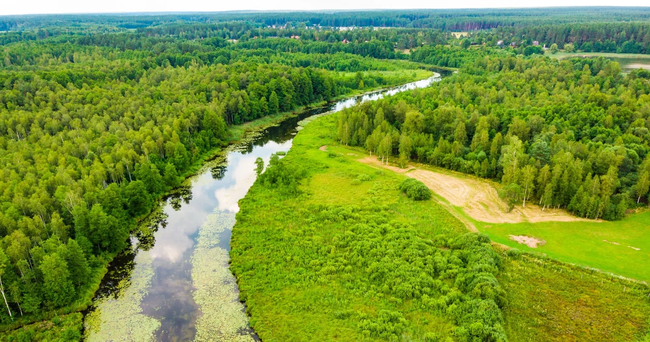  Najciekawsze polskie lasy. Skrywają kolorowe jeziorka i niezwykłe krajobrazy