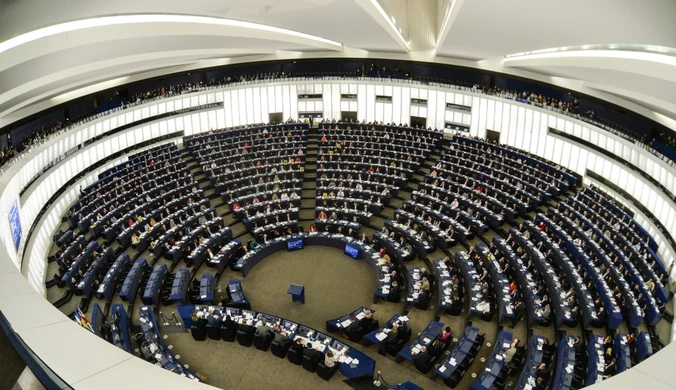 Wybory do Parlamentu Europejskiego. Sprawdź, za co będą odpowiadać posłowie
