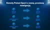 Zmiana nazw kanałów sportowych Polsatu - Polsat Sport marką główną