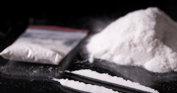 700 kg kokainy przewieźli z Holandii do Wielkiej Brytanii dwaj zatrzymani w Polsce członkowie zorganizowanej grupy przestępczej zajmującej się obrotem znacznymi ilościami narkotyków - poinformowała Prokuratura Okręgowa w Katowicach. Na jej wniosek sąd aresztował obu podejrzanych.
