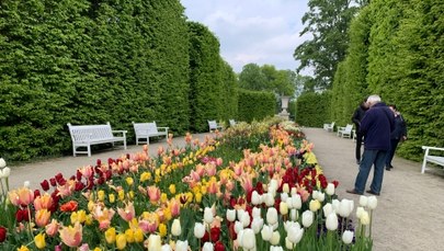​Ogrody Zamku Królewskiego w Warszawie otwierają się po zimowej przerwie