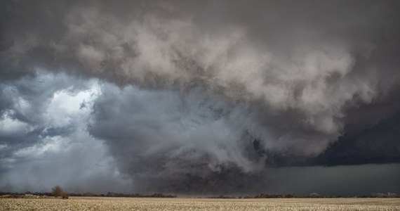 Co najmniej kilkanaście tornad, w tym jedno szerokie na ponad kilometr, ostrzeżenia najwyższego stopnia, dziesiątki zrównanych z ziemią domów i dramat wielu ludzi - tak wyglądał piątek w amerykańskich stanach Nebraska i Iowa. W związku z tym, że tornada wystąpiły w ciągu dnia, media społecznościowe zalały budzące grozę nagrania.