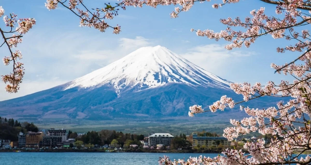 Władze miasta Fujikawaguchiko zirytowani zachowaniem turystów, zdecydowali się na radykalny krok. Wulkan Fudżi, święta góra Japończyków zostanie zasłonięta specjalnym ekranem. W najbardziej popularnym miejscu do fotografowania.
