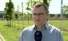 Szymon Rojek: Z punktu widzenia polskiego kibica szkoda, że w ćwierćfinale tak nierozsądnie zachował się Araujo. WIDEO
