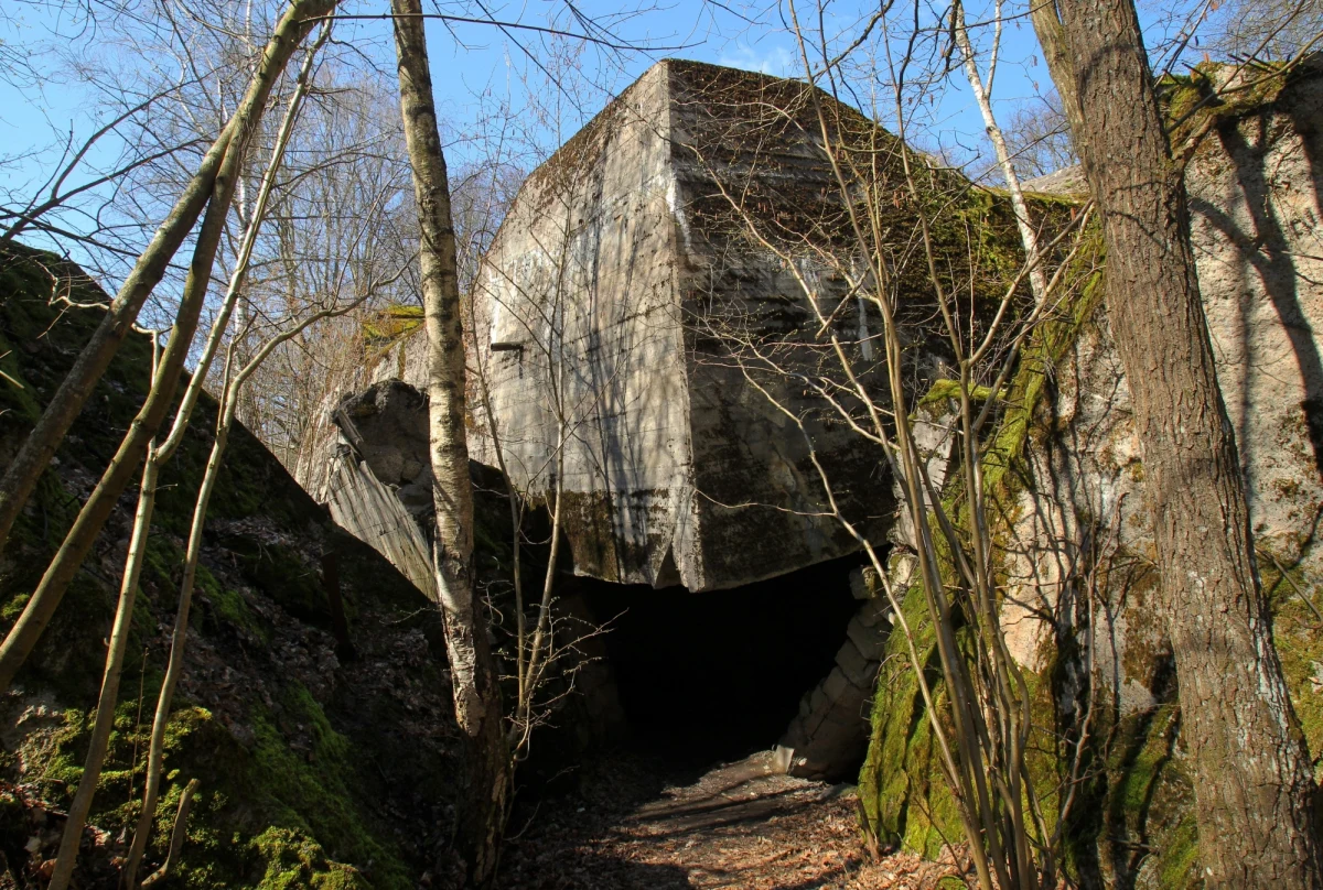 Szczątki pięciu osób odkryli badacze historii w dawnym domu Goeringa na terenie byłej kwatery Hitlera Wilczy Szaniec w Gierłoży. Prokuratura umorzyła śledztwo, uznając, że to ofiary okołowojenne. Gospodarz miejsca nadleśnictwo wraz z badaczami chcą rozwikłać zagadkę tajemniczego odkrycia.