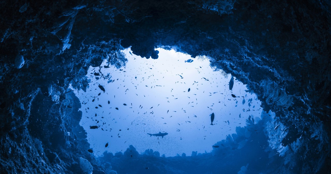 Mexico.  Tam Ja's “Blue Hole” is the deepest in the world.  Great comeback