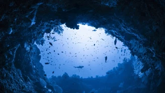 Najgłębsza "błękitna dziura" na świecie. Naukowcy nie mogą dosięgnąć dna  