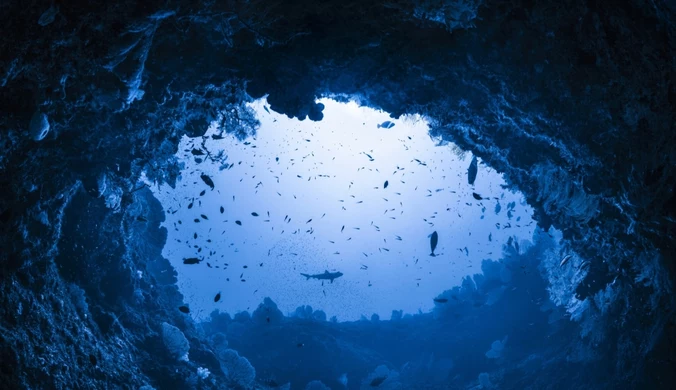 Najgłębsza "błękitna dziura" na świecie. Naukowcy nie mogą dosięgnąć dna  