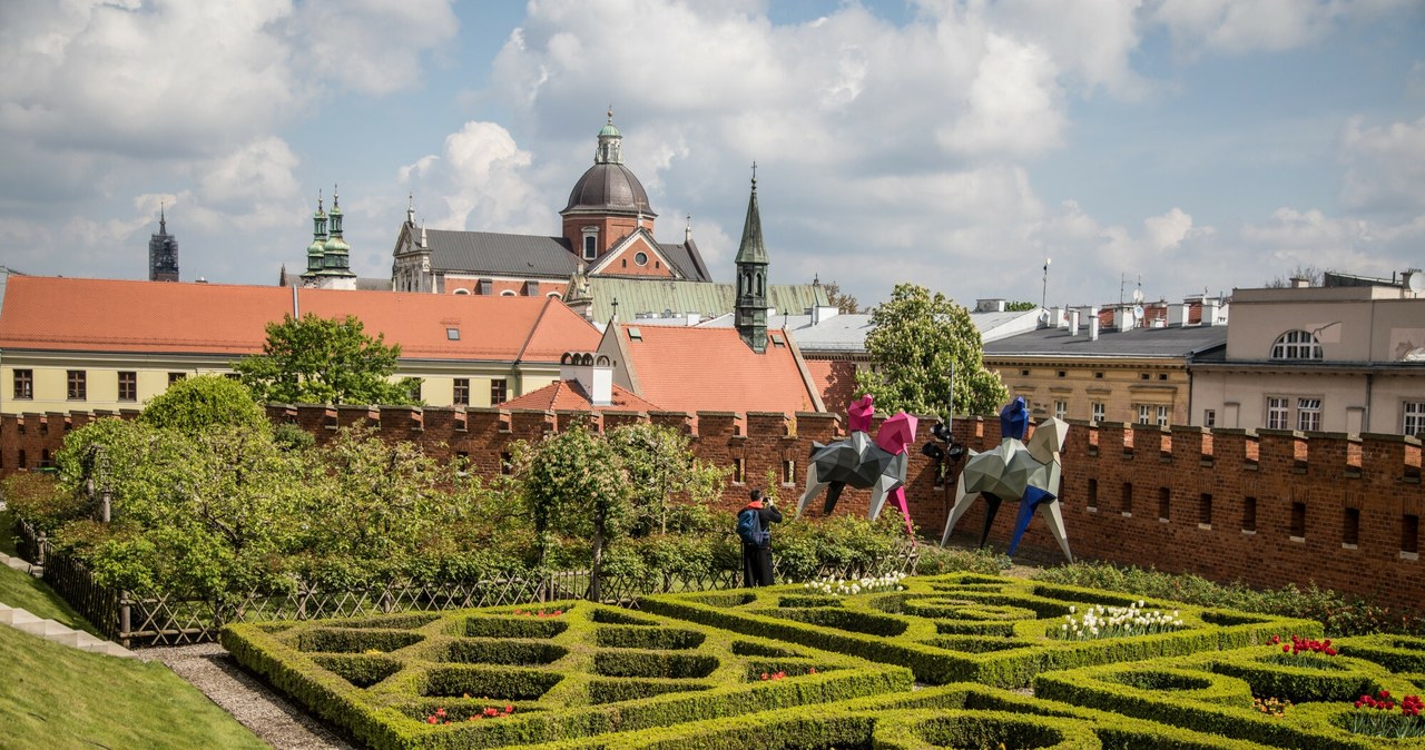 Otwieramy, Ogrody, Królewskie, kilka, temu, Zamek, Królewski, Wawelu, poinformował, ponownym, otwarciu, lubianej, atrakcji, tury Wawel ma wyjątkową atrakcję. Prowadzi do niej... tajemniczy tunel