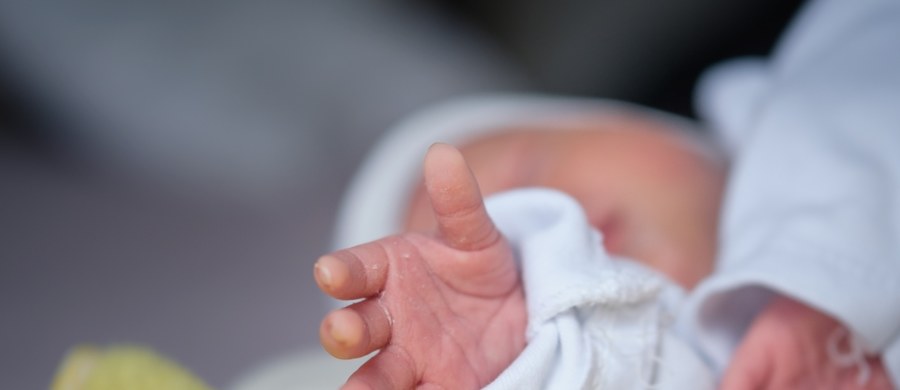 W oknie życia w dzielnicy Mikołowa – Borowej Wsi, znaleziono noworodka. Dziewczynkę przebadali lekarze, którzy ocenili, że jej stan jest dobry, a od porodu do przekazania do okna życia mogło minąć kilkanaście godzin.