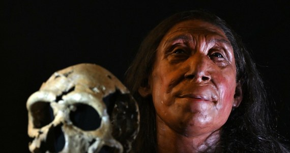Jak na swoje 75 tysięcy lat wygląda całkiem nieźle. Naukowcom udało się stworzyć model twarzy kobiety Neandertalki. Najpierw musieli jednak poskładać jak puzzle 200 kawałeczków jej czaszki.
