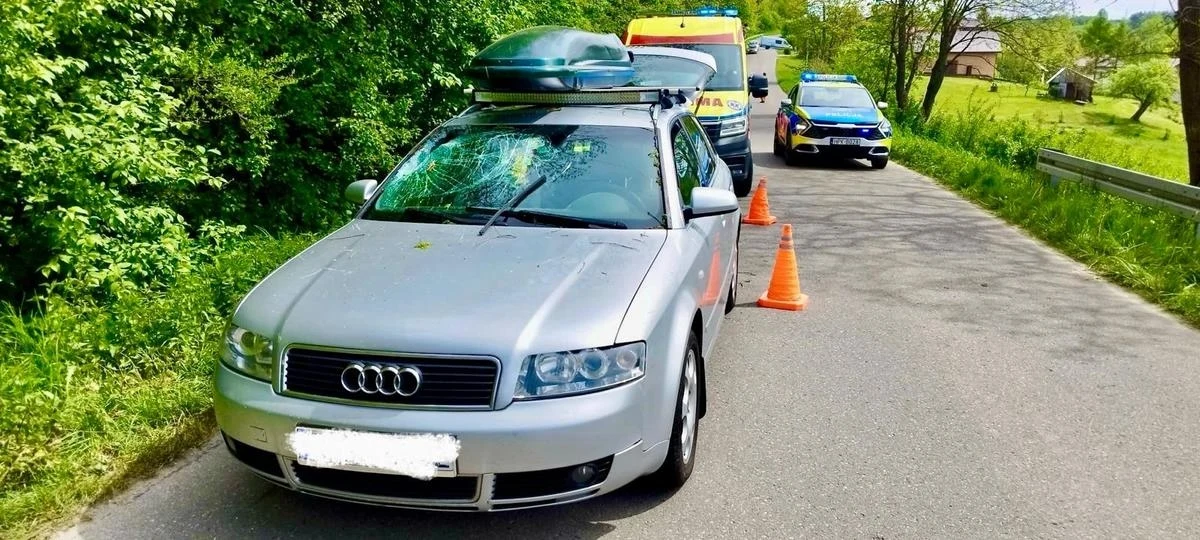 Podczas wycinki drzew, prowadzonej w miejscowości Nozdrzec (woj. podkarpackie), na jadące auto spadła gałąź. Ranna została 4-letnia dziewczynka. Dziecko trafiło do szpitala.