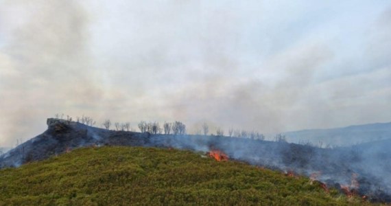 Strażacy z pomocą innych służb ugasili pożar traw na terenie Bieszczadzkiego Parku Narodowego. Ogień pojawił się w trudno dostępnym terenie między Krzemieniem i Obnogą.