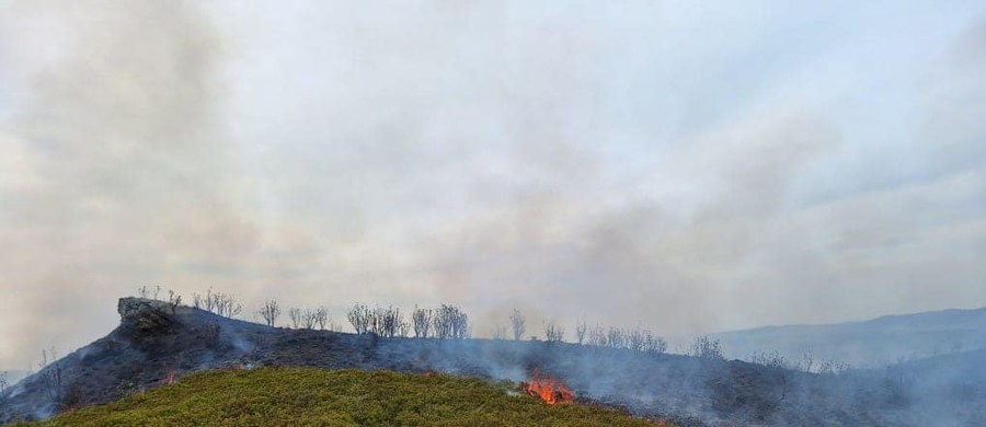 Strażacy z pomocą innych służb ugasili pożar traw na terenie Bieszczadzkiego Parku Narodowego. Ogień pojawił się w trudno dostępnym terenie między Krzemieniem i Obnogą.
