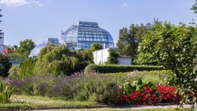 Oranżeria w ogrodzie botanicznym UJ. Coraz bliżej jej odbudowy