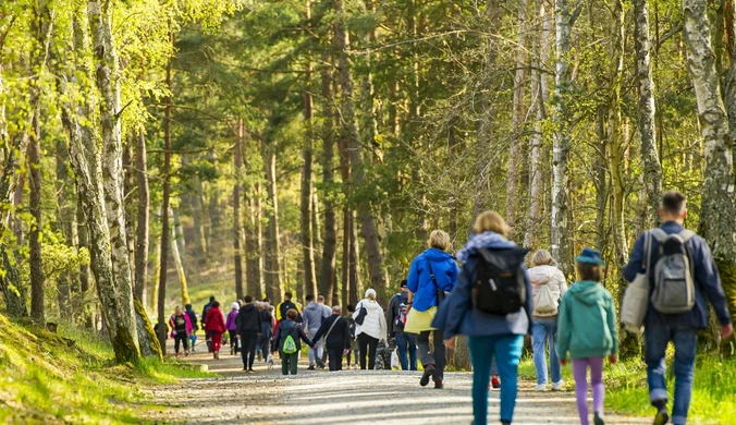 Powstała specjalna mapa. NFZ wskazuje na "pasażera na gapę"