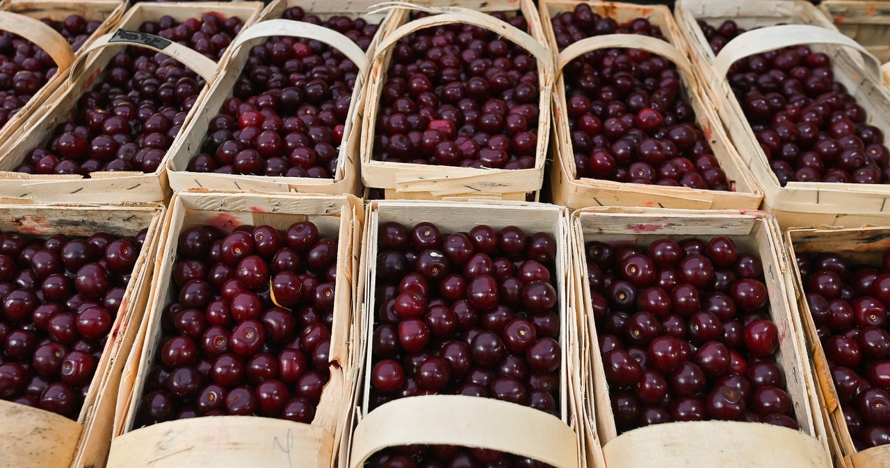 Wraz, początkiem, maja, warszawskich, targowiskach, pojawiły, pierwsze, czereśnie, cena, jednak, mocno, zaskoczyła, klientów, lo Czereśnie na targowiskach horrendalnie drogie. Cena zwala z nóg