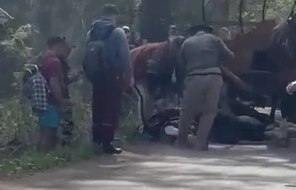 ​Tatrzańscy policjanci prowadzą czynności w sprawie piątkowego incydentu na drodze do Morskiego Oka. Analizują film pokazujący leżącego konia, ustalają świadków oraz tożsamość woźnicy. Czynności prowadzone są pod kątem przestępstwa z Ustawy o Ochronie Zwierząt.