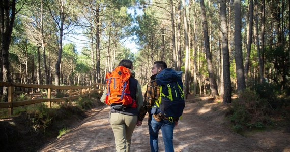 Wielu entuzjastów aktywności na świeżym powietrzu zastanawia się, jakie buty będą najlepsze na letnie wędrówki. Sandały trekkingowe zdobywają coraz większą popularność i nadają się na górskie szlaki czy spacer po lesie. Ich unikalne połączenie wygody, przewiewności i ochrony sprawia, że są doskonałym wyborem na ciepłe dni. 