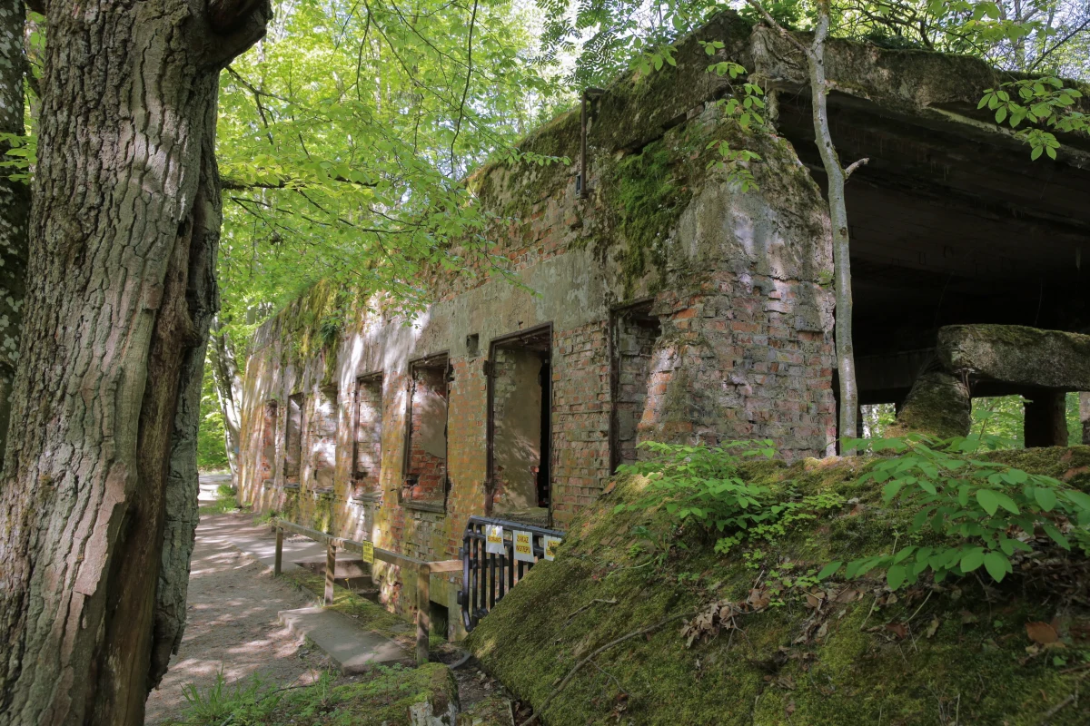 Prokuratura podjęła decyzję w sprawie śledztwa dotyczącego ludzkich szczątków znalezionych w lutym w Gierłoży na terenie byłej kwatery Hitlera Wilczy Szaniec. Badacze historii znaleźli w dawnym domu Goeringa szczątki kilku osób. Śledczy stwierdzili, że z uwagi na ich zdekompletowanie nie można określić bezpośredniej przyczyny zgonu. Dlatego śledztwo umorzyli.