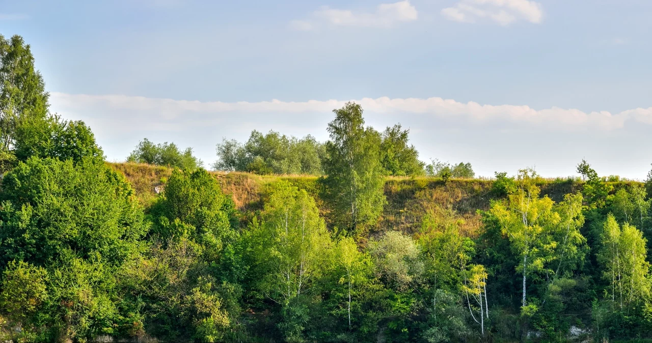  Poczujesz się jak na wakacjach w Chorwacji. Polski Balaton kusi turkusową wodą