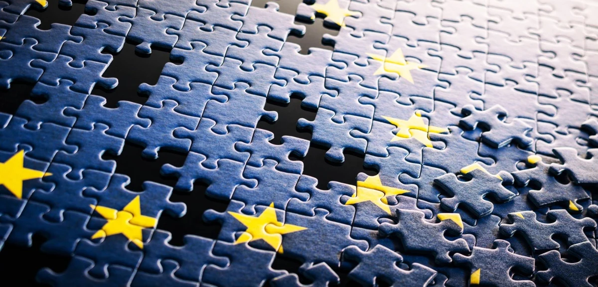 Państwowa Komisja Wyborcza zarejestrowała dotąd sześć komitetów, które dzięki zarejestrowaniu swoich list w ponad połowie okręgów wyborczych mają już prawo wystawienia list kandydatów w całym kraju. Do list obecnych w Sejmie ugrupowań dołączył właśnie komitet wyborczy... POLEXIT. To jednak tylko jeden z zawierających to słowo komitetów startujących w eurowyborach.