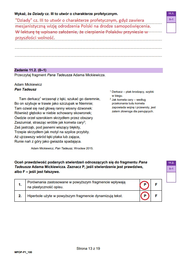 Matura 2024, język polski. Arkusz CKE i rozwiązania - strona 13