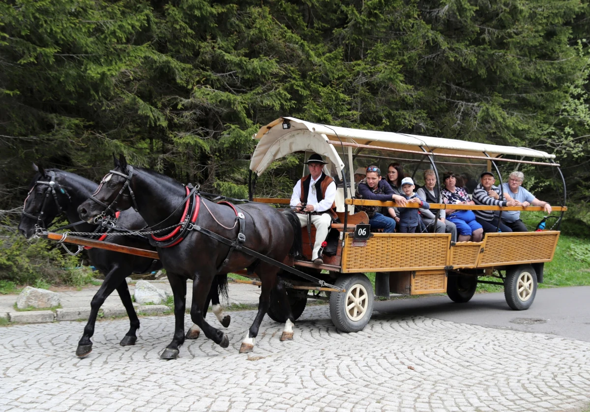 Nie ma mowy o likwidacji transportu konnego na drodze do Morskiego Oka - zapowiedział nowy starosta tatrzański Andrzej Skupień. Dyskusja o zakazie dla konnych zaprzęgów na tej trasie odżyła po ostatnim incydencie w czasie majówki. Na trakcie z Palenicy Białczańskiej nad Morskie Oko upadł koń.  