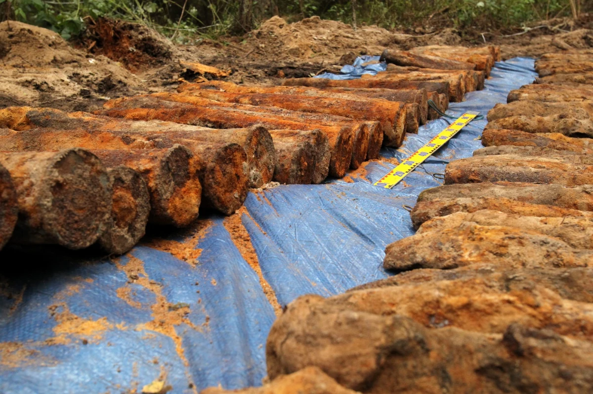 ​Saperzy wywieźli w środę część niewybuchów z czasów II wojny światowej znalezionych przy ul. Sidorskiej w Białej Podlaskiej (Lubelskie). Łącznie odkryto 22 bomby lotnicze, z czego cztery 500-kilogramowe. Mieszkańcy mogą wrócić po ewakuacji do swoich domów. Na miejscu pozostała jeszcze część niewybuchów, które nie stwarzają już bezpośredniego zagrożenia.