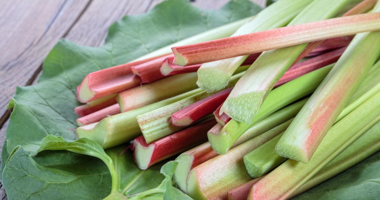 Nigdy nie spożywaj tej części rabarbaru. Groźne skutki dla zdrowia